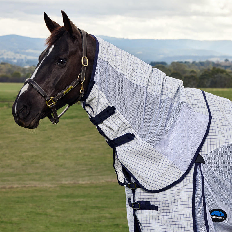 A dark horse wears a Weatherbeeta Airstream Combo Neck Lightweight Rug in a grassy field.