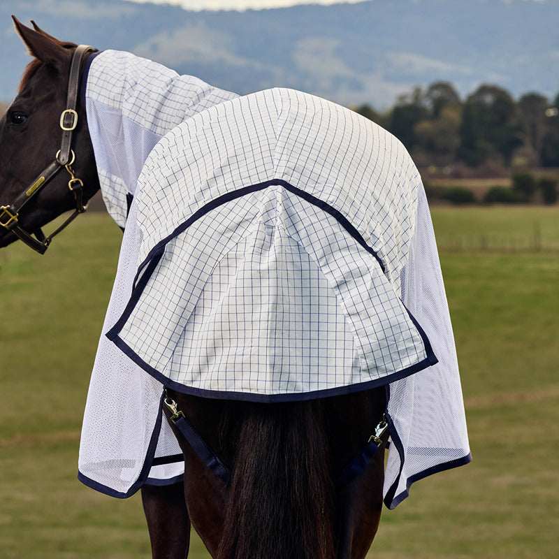 A horse in a Weatherbeeta Airstream Combo Neck Lightweight Rug stands in a grassy field.
