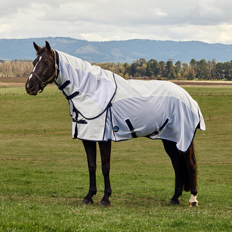 A horse wears a Weatherbeeta Airstream Combo Neck Rug in a grassy field with hills behind.