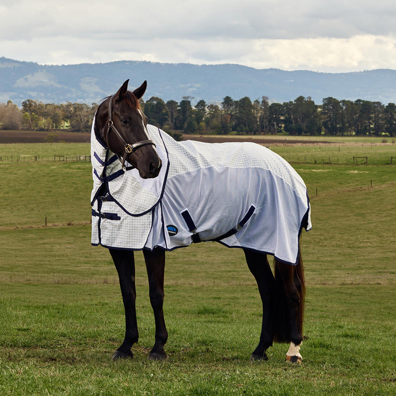 A horse wears a Weatherbeeta Airstream Combo Neck Rug in a grassy field with hills behind.