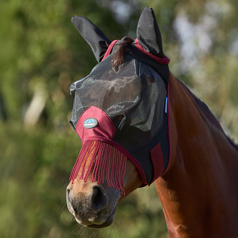 A horse wearing a Weatherbeeta Comfitec Fine Mesh Fly Mask with ears and nose tassels.