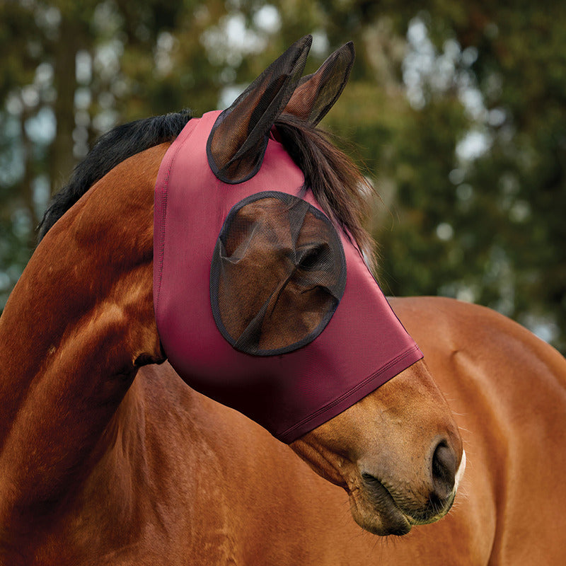 A brown horse wears a Weatherbeeta Comfitec Stretch Fly Mask with Ears, outdoors by trees.