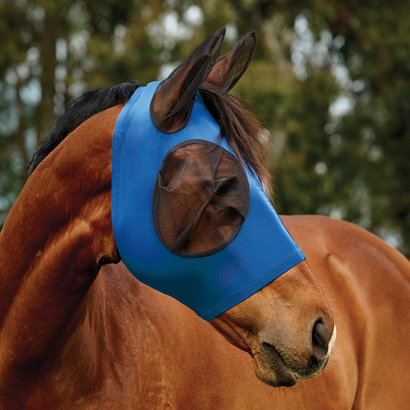 A horse wears a Weatherbeeta Cobalt/Black Stretch Fly Mask with ears, outdoors among trees.