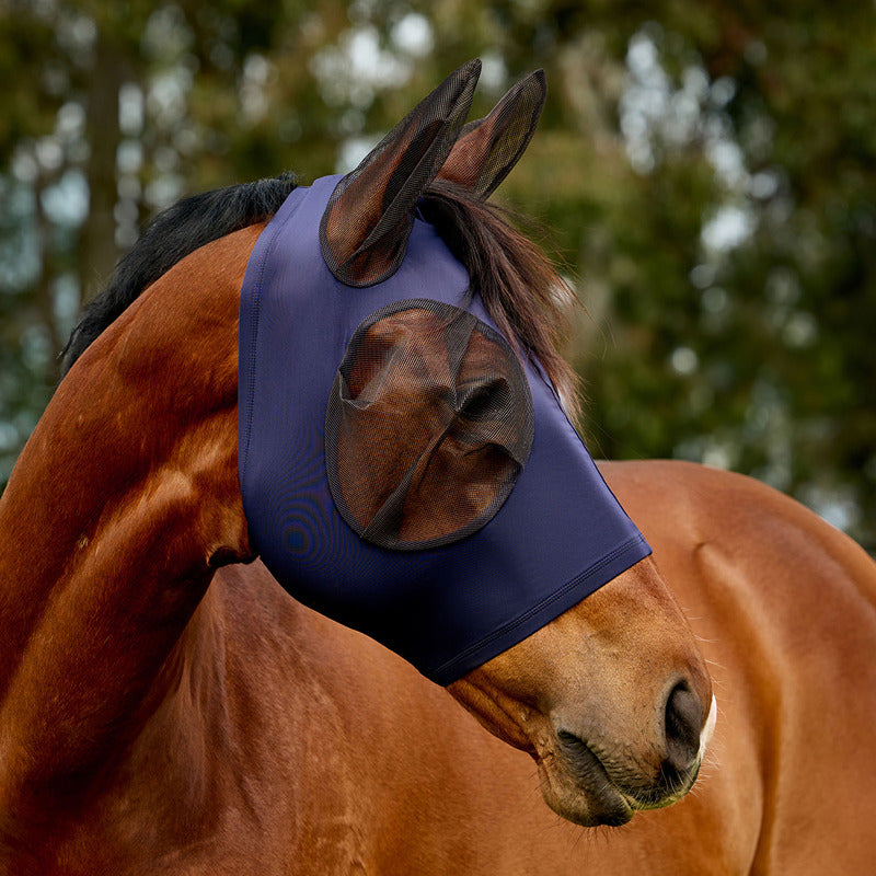 A brown horse wears a Weatherbeeta navy Comfitec Deluxe Stretch Fly Mask outdoors.