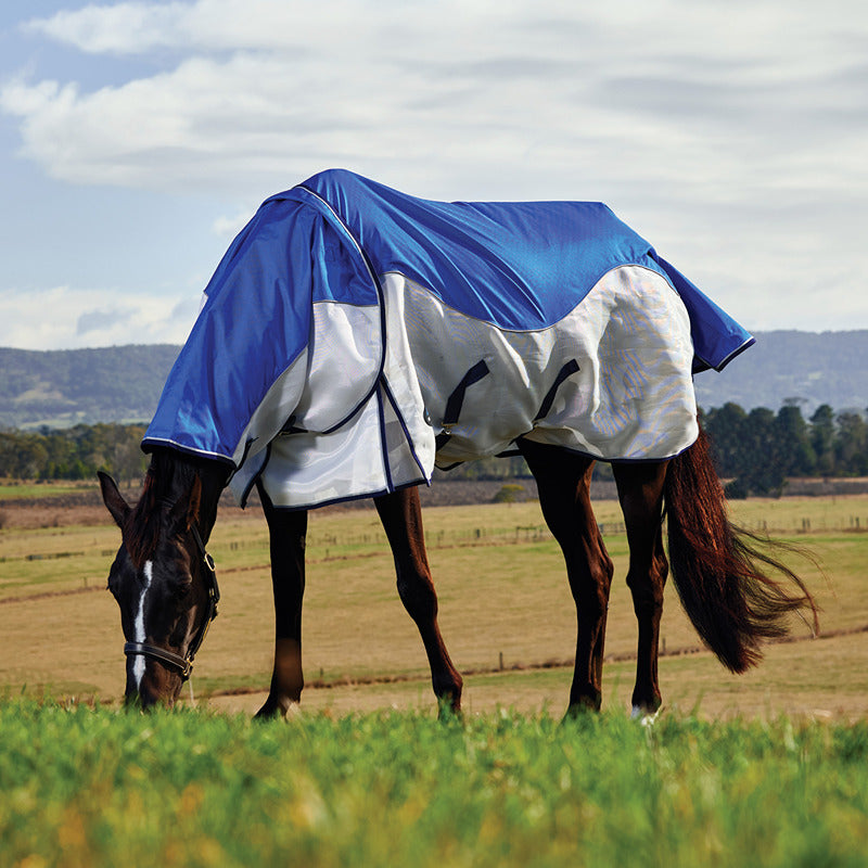 A horse in a Weatherbeeta Comfitec Duo Shield fly rug grazes calmly in a grassy field.