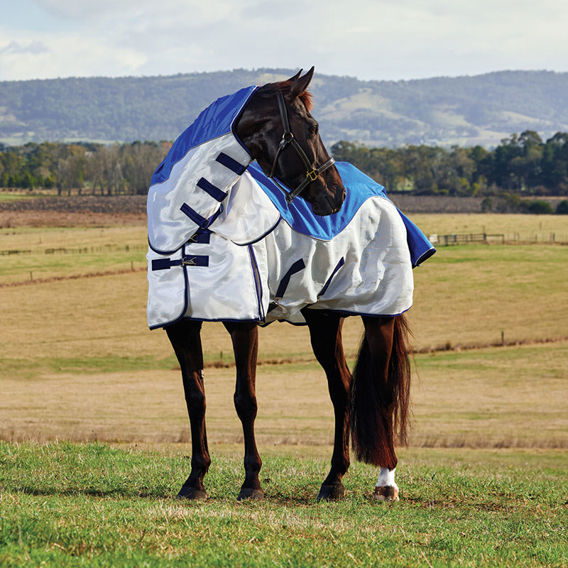 A horse in a Weatherbeeta Comfitec Duo Shield Fly Rug grazes in a grassy field.