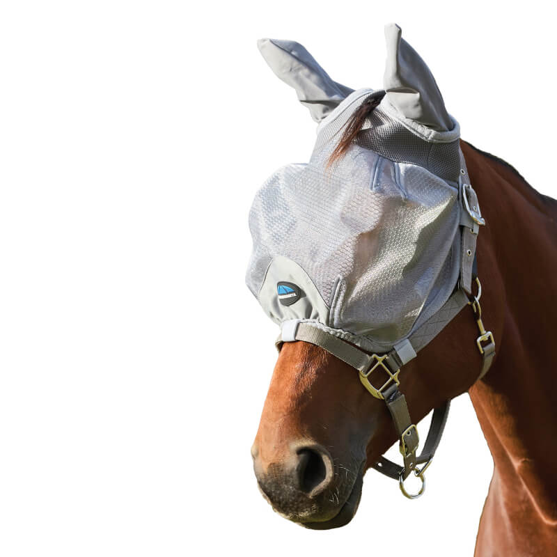 Brown horse wearing a Weatherbeeta Comfitec Hexi Shield Duo Fly Mask Silver outdoors.