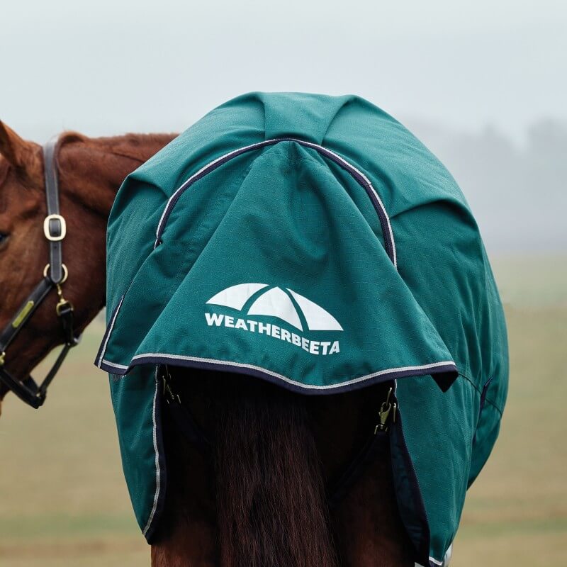 Weatherbeeta Comfitec Plus Dynamic Turnout Rug High Neck Light Weight 0G Forest Green/Navy