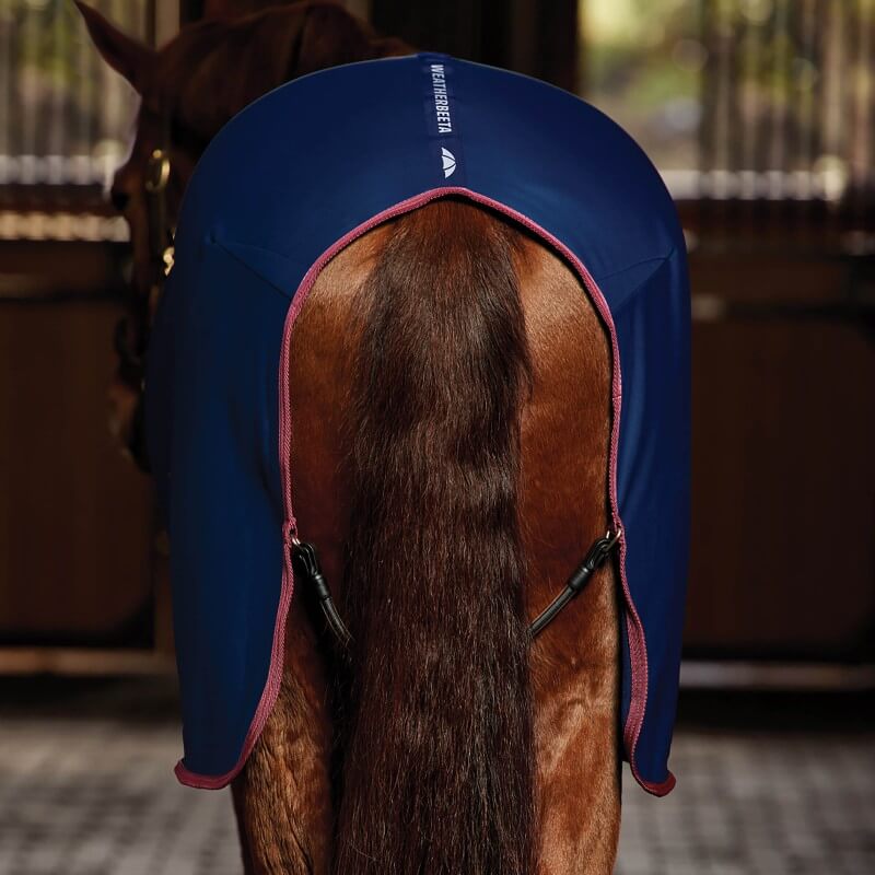Weatherbeeta Regal Show Sheet Standard Neck Navy/Burgundy