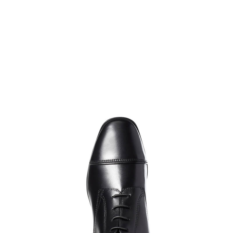 Ariat Palisade Tall Riding Boots in black, shown from above on a white background.