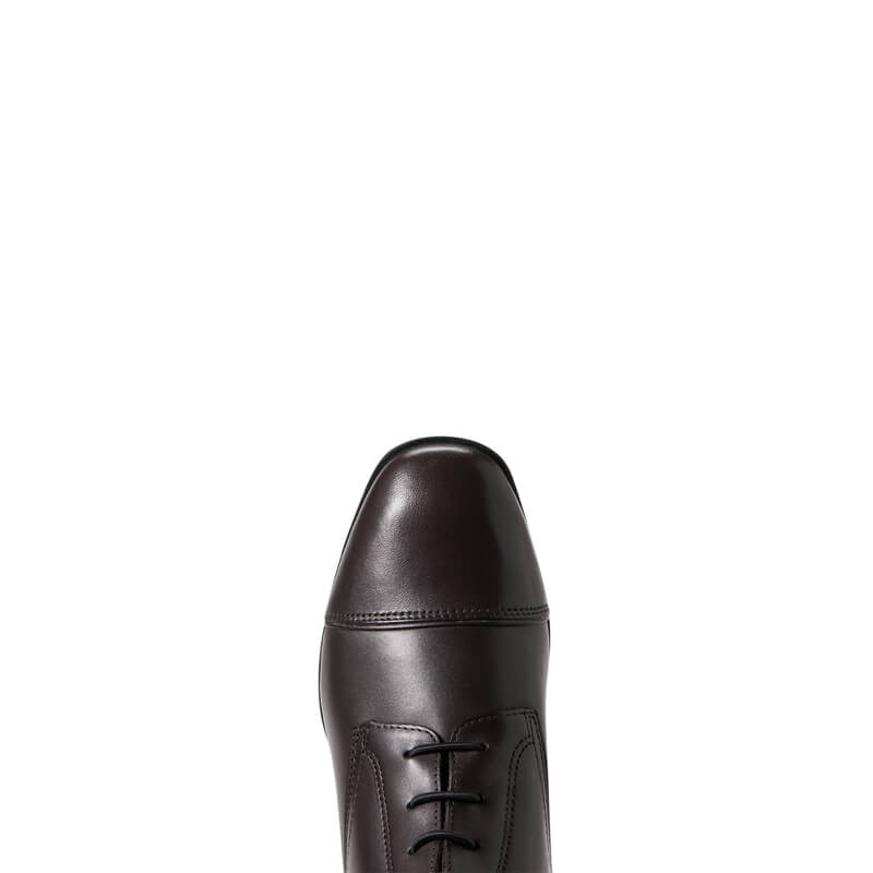 Top view of Ariat Palisade Tall Riding Boots Cocoa by Ariat on white background.