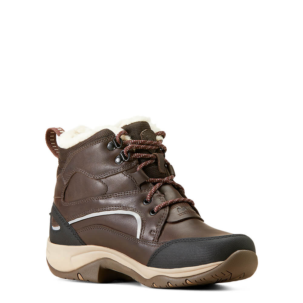 Ariat Telluride H2O Insulated dark brown women's boot with fleece-shearling lining.