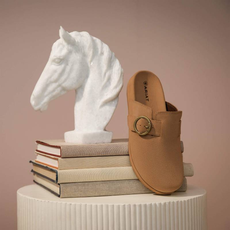 Ariat Womens Country Mule in caramel suede, featuring a buckle and equestrian-inspired style.