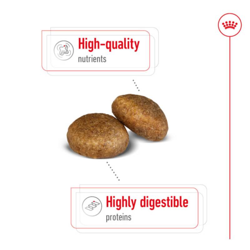 Royal Canin Maxi Adult supports large dogs' digestive health with tailored nutrients.