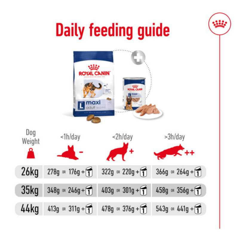 Royal Canin Maxi Adult feeding guide for large dogs; supports weight and digestive health.