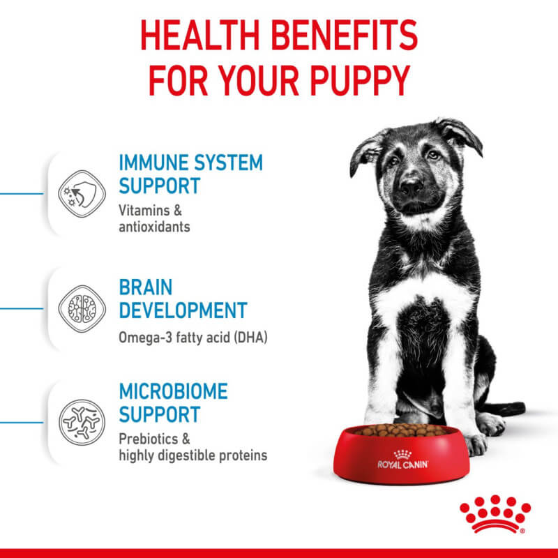 Royal Canin Maxi Puppy: nutrition and health benefits for puppies.