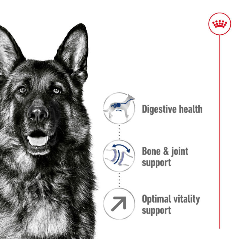 Royal Canin Maxi Adult 5+ dog food for large senior dogs with joint support.