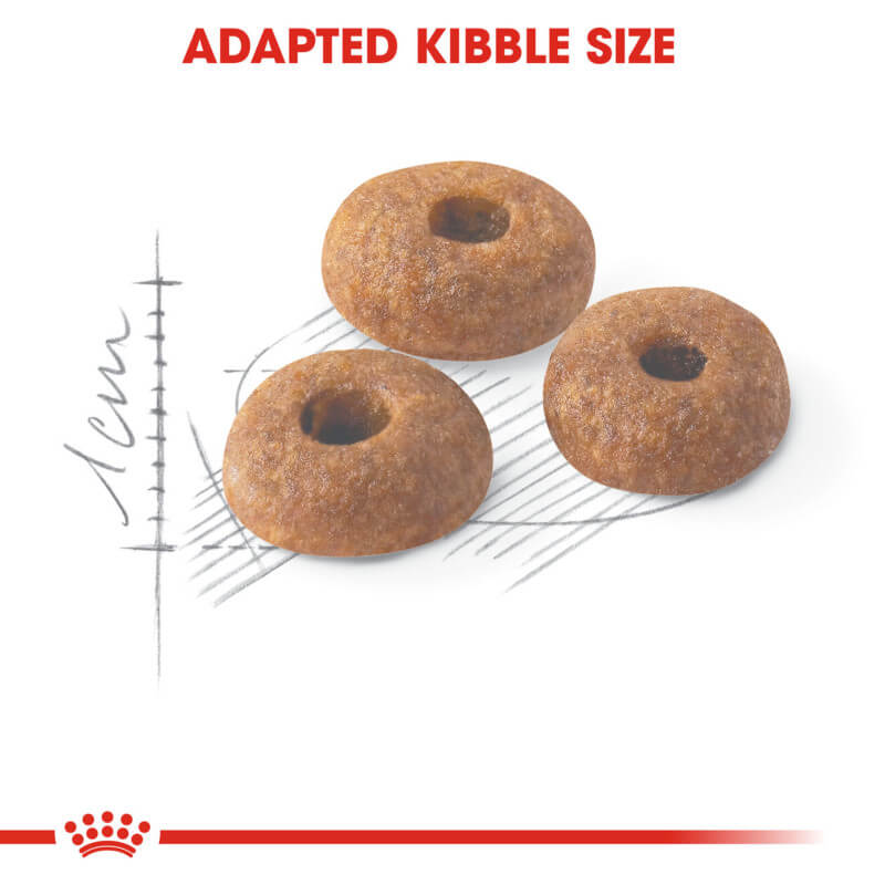 Three round kibbles with a hole, Royal Canin Fit adult cat food by Royal Canin.