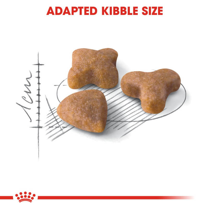 Three Royal Canin Sensible kibbles shown with a size diagram in the background.