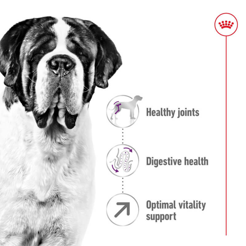 Royal Canin Giant Adult dog food supports joint and bone health in giant breed adult dogs.