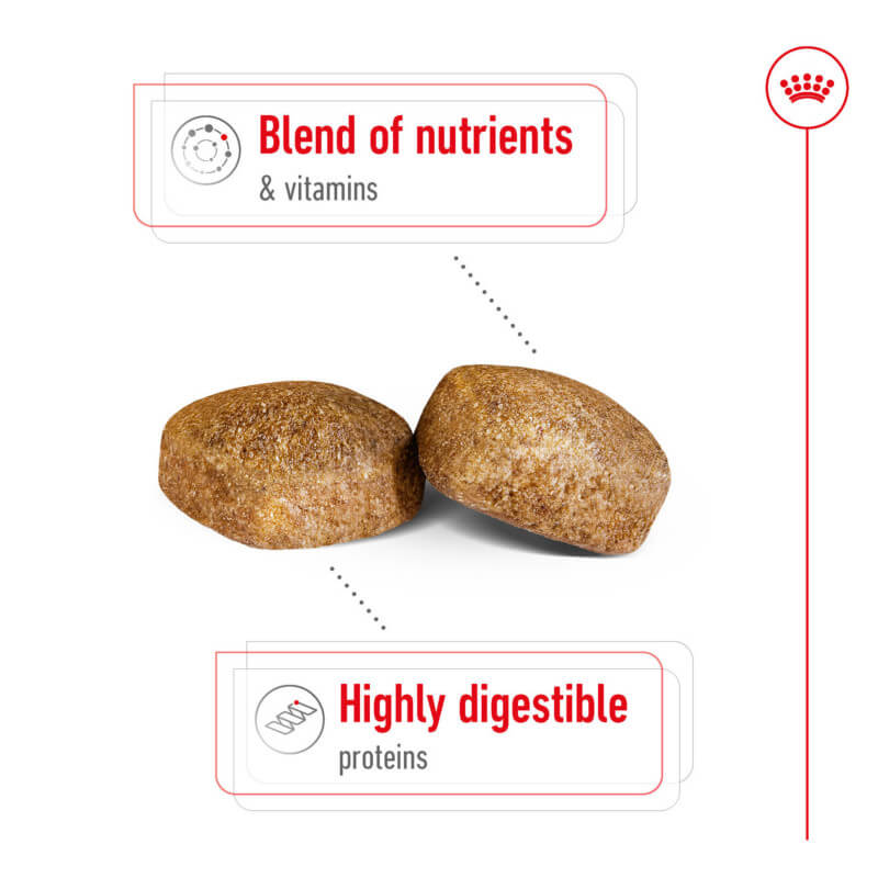 Two brown kibbles labeled for digestion and nutrients from Royal Canin Giant Adult dog food.