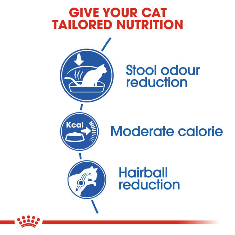 Royal Canin Indoor reduces stool odor, calories, and hairballs in indoor cats.