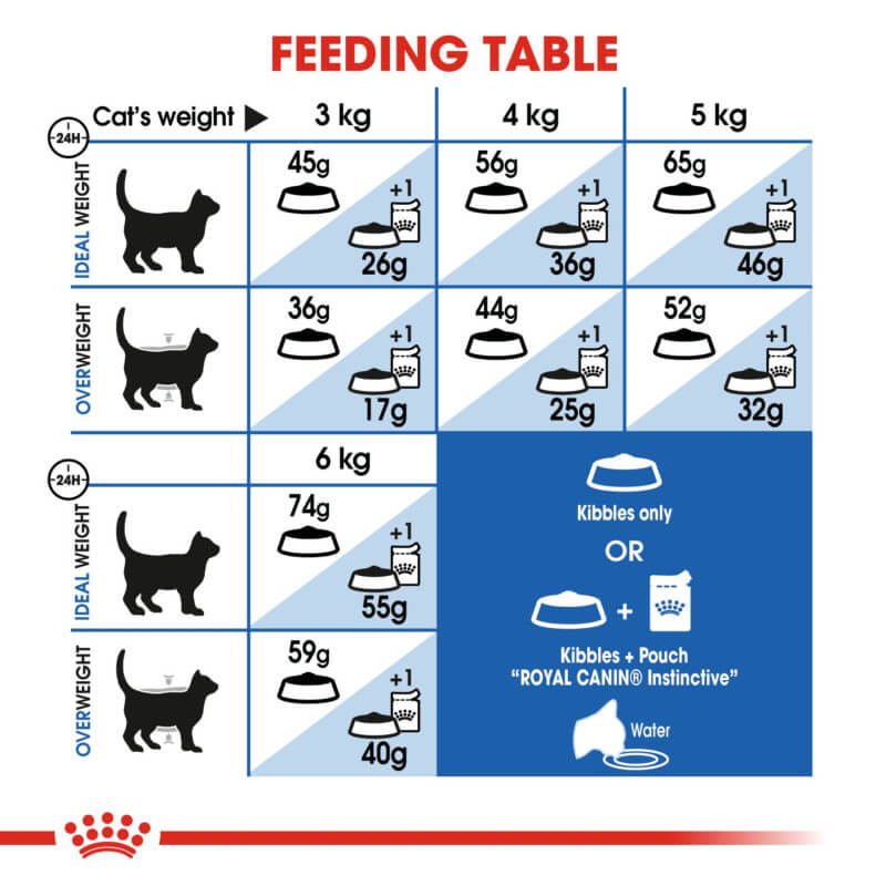 Royal Canin Indoor feeding chart: weight management & hairball reduction portions in grams.