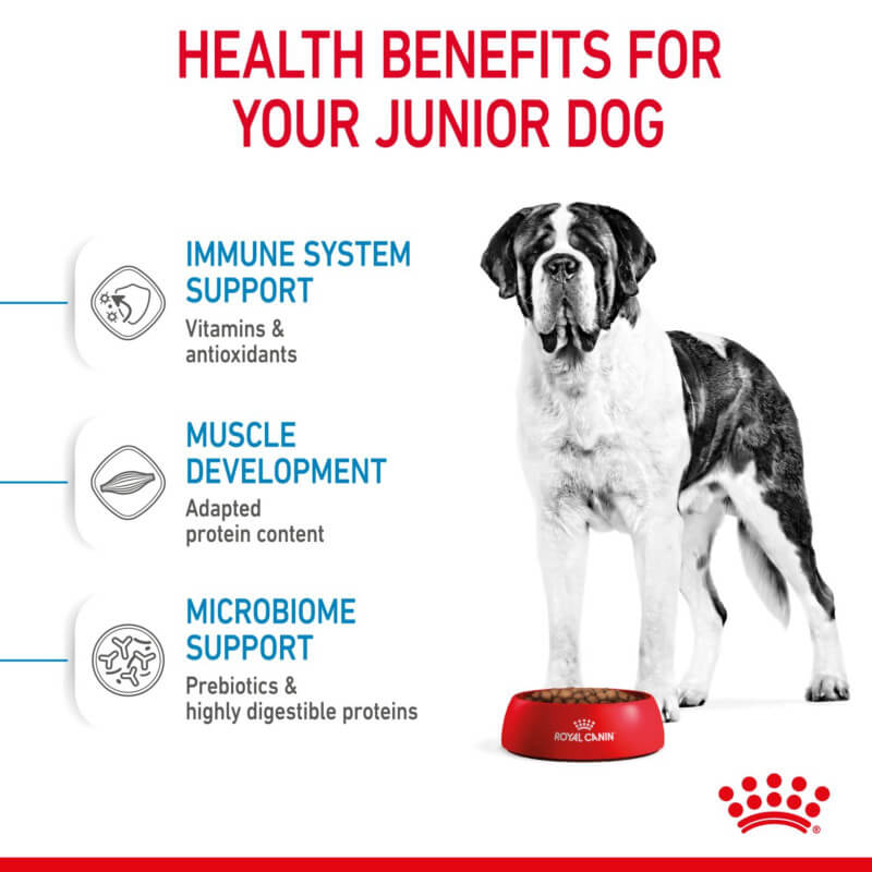 Royal Canin Giant Junior puppy food supports muscle and bone development in giant breeds.