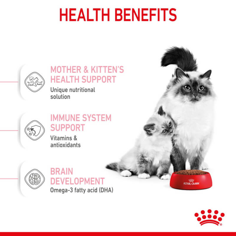 Adult cat and kitten with Royal Canin BabyCat, highlighting its key health benefits.