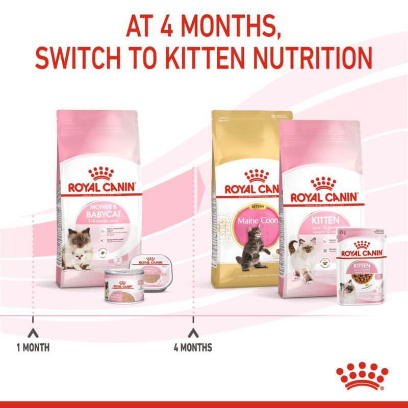 Royal Canin BabyCat chart guides kittens' weaning from mother’s milk to kitten food.