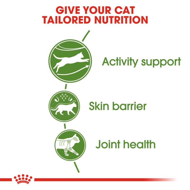Green icons show cat activity, joints; text notes Royal Canin Outdoor's immune, digestive benefits.