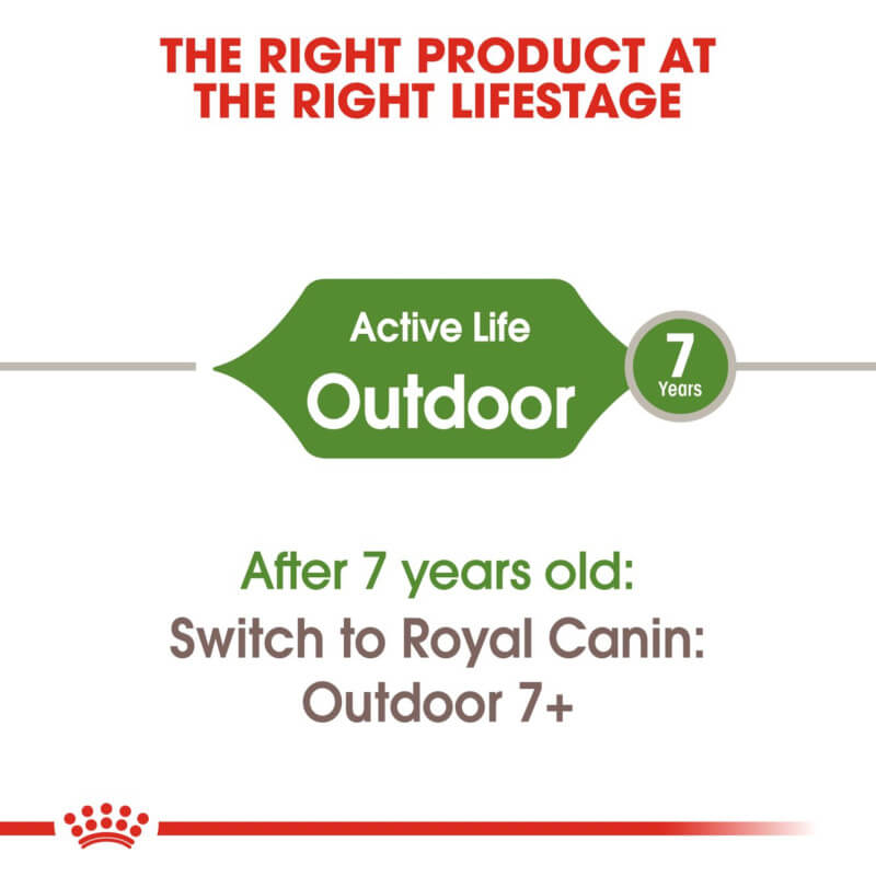 Active outdoor cats 7+ thrive with Royal Canin Outdoor for immune and digestive health.