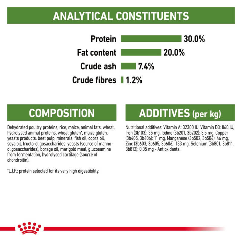 Royal Canin Outdoor supports cats' immune and digestive health with precise nutrition.