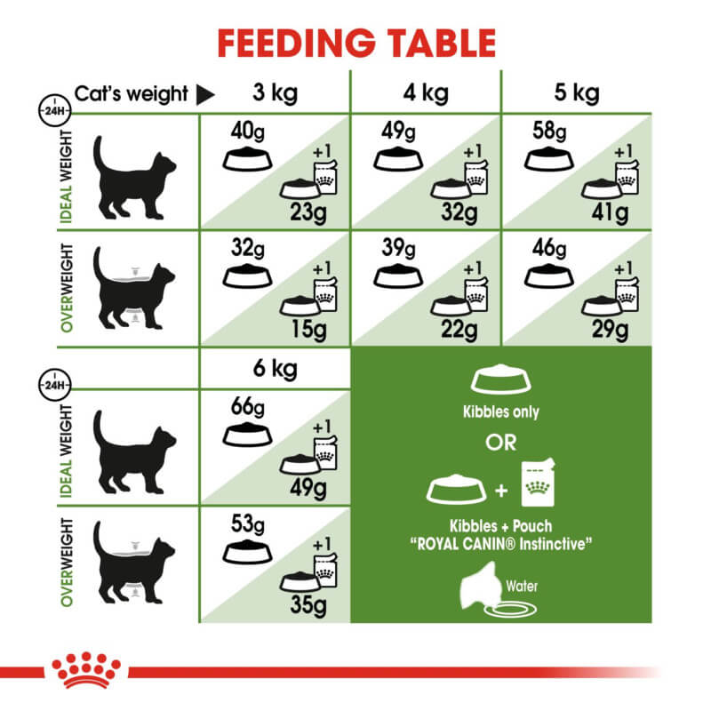 Outdoor cat feeding table using Royal Canin Outdoor, sorted by weight and meal type.