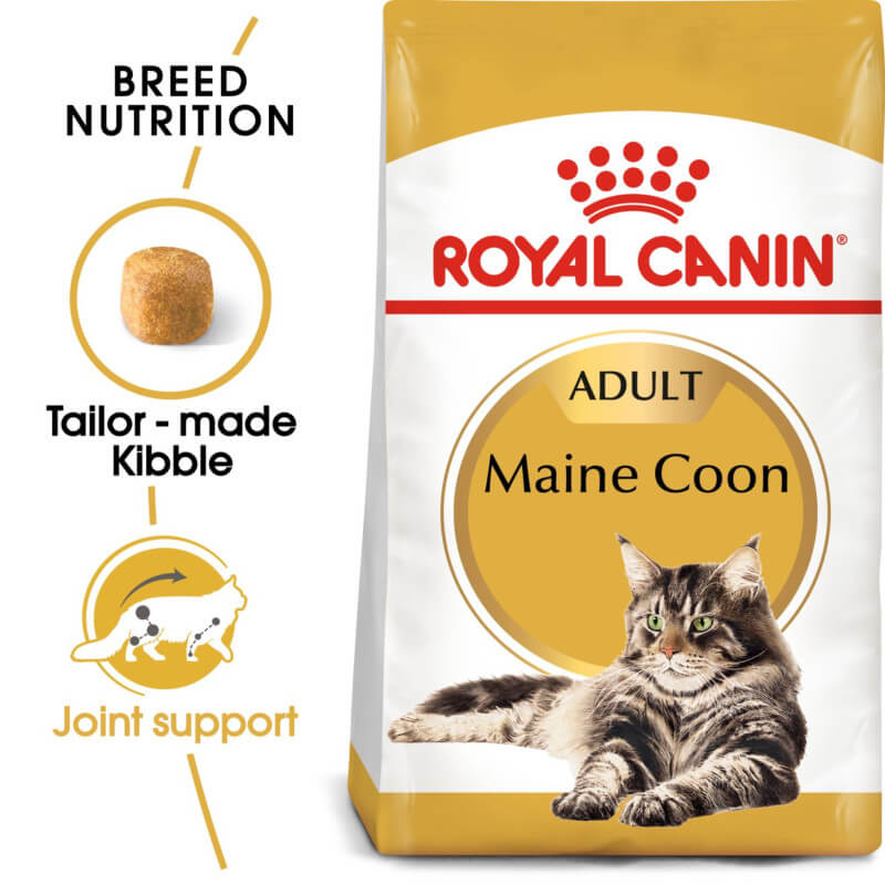 Royal Canin Maine Coon
