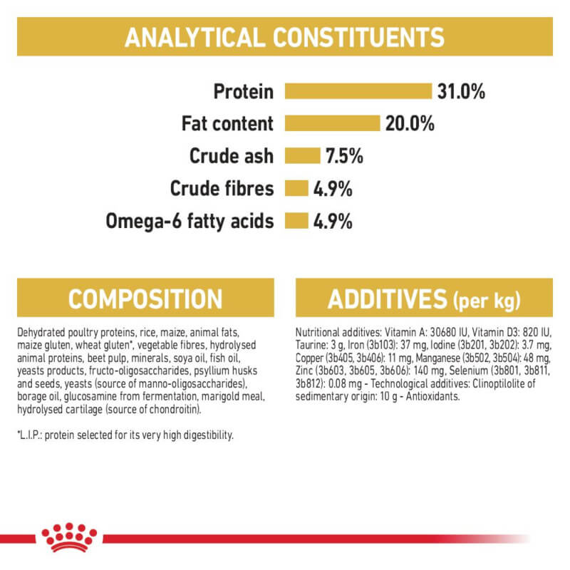 Royal Canin Maine Coon