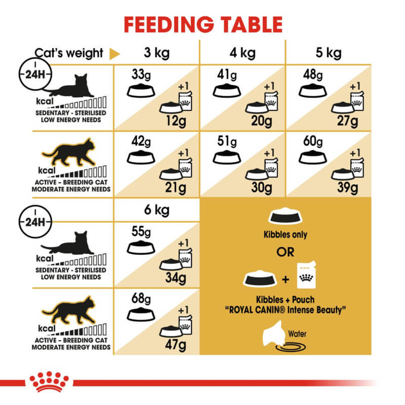 Royal Canin Siamese table lists daily food and water needs by weight for Siamese cats.