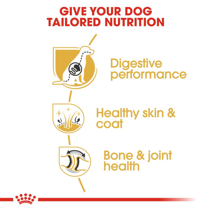 Royal Canin German Shepherd supports digestion, skin, coat, and joint health for your dog.
