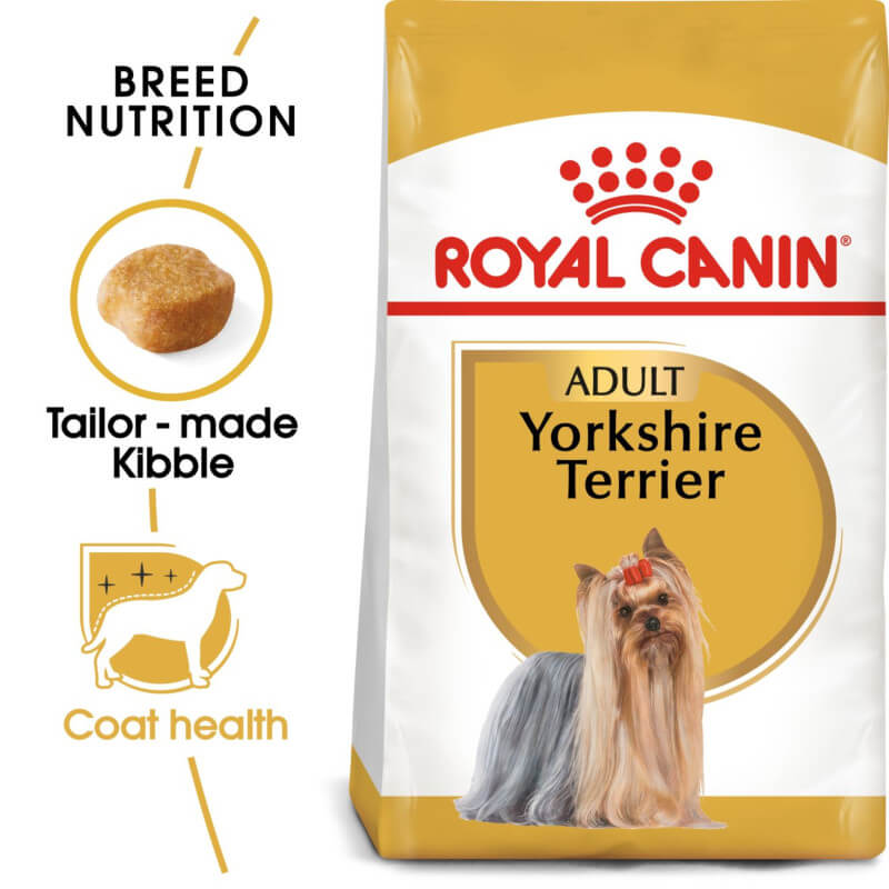 Royal Canin Yorkshire Terrier dog food supports adult Yorkies' coat health.