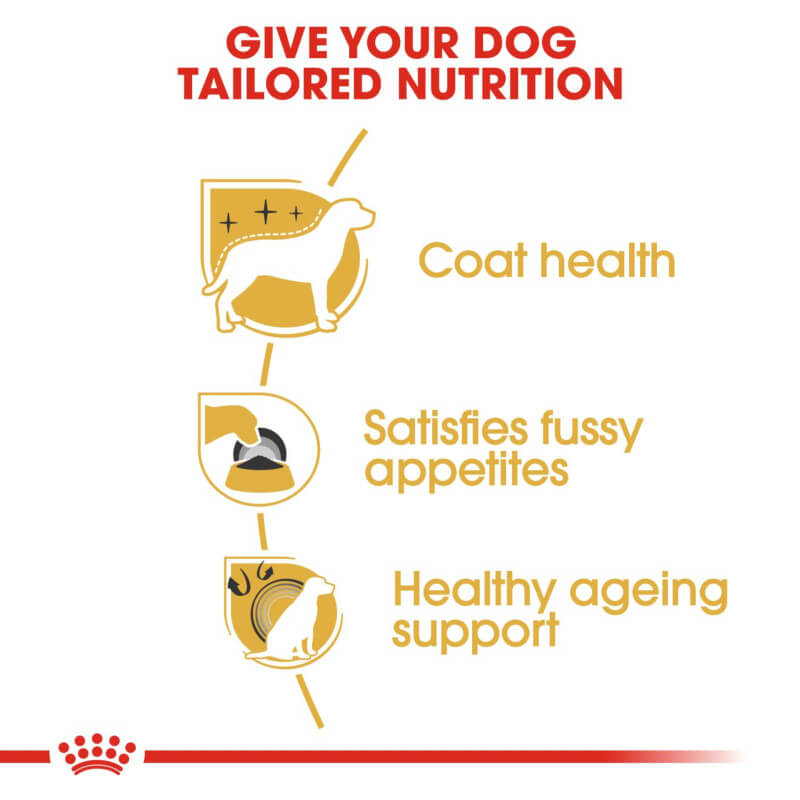 Royal Canin Yorkshire Terrier supports coat health, fussy eaters, and healthy ageing.