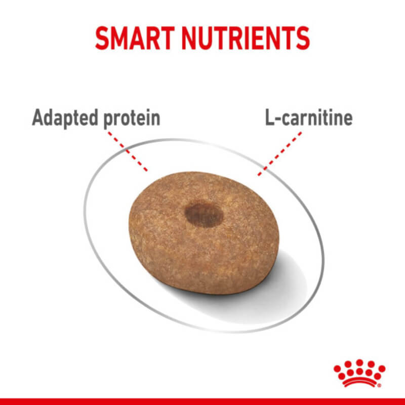 Royal Canin Mini Light kibble with adapted protein for small breed dogs.