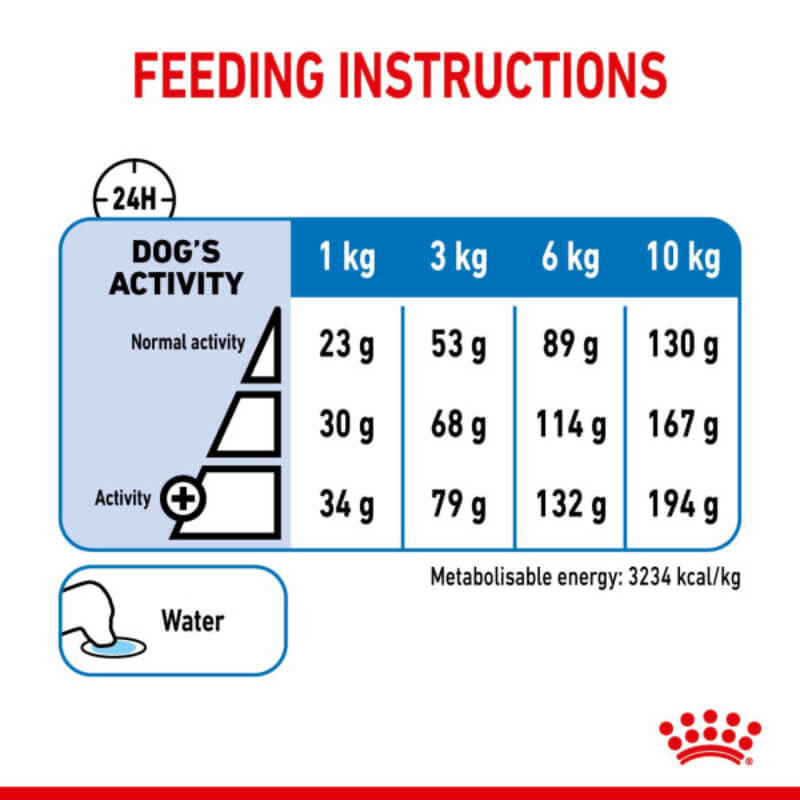Royal Canin Mini Light feeding chart for small dogs, weight control, water, and energy info.