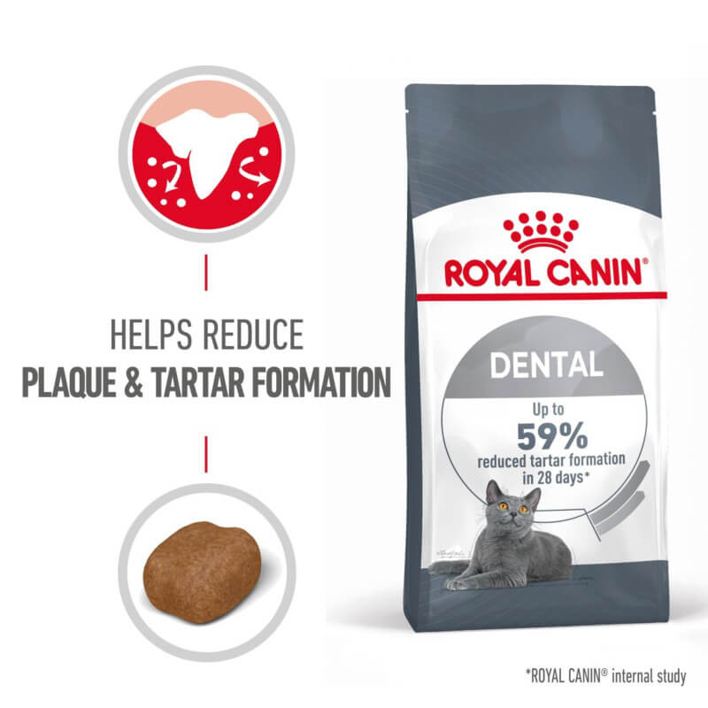 Royal Canin Feline Dental Care Dry Food bag highlights product info and tartar control benefits.