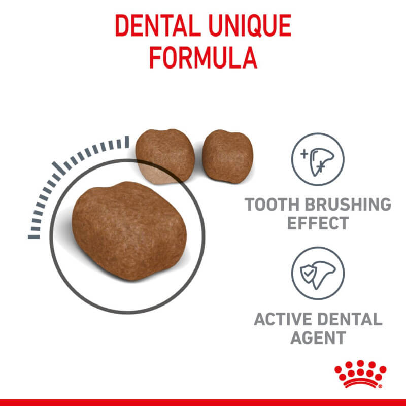 Three brown Royal Canin Feline Dental Care kibbles with tartar control and dental agent icons.