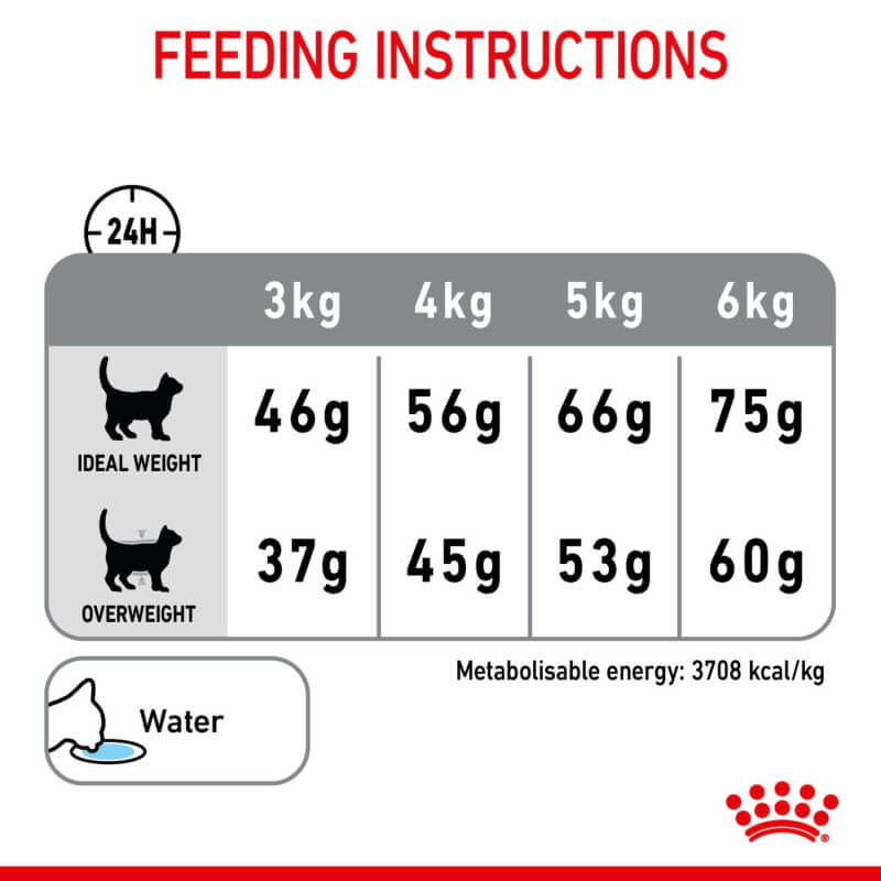 Cat feeding chart by weight with Royal Canin Feline Dental Care food recommendations.