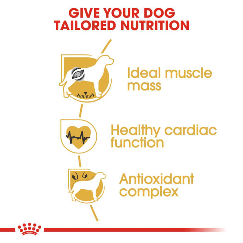 Royal Canin Boxer dog food supports athletic nutrition for Boxers.