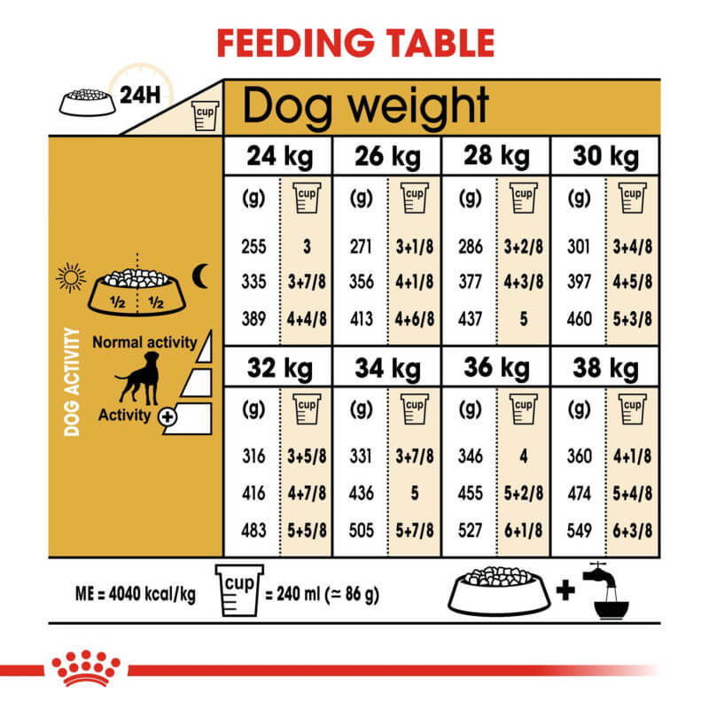 Royal Canin Boxer feeding guide: daily amounts by weight and activity level.