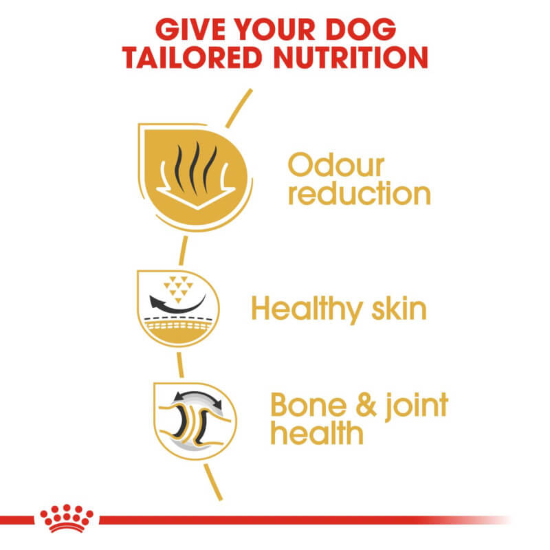 Royal Canin Bulldog dog food: supports joints, healthy skin, and digestive health.