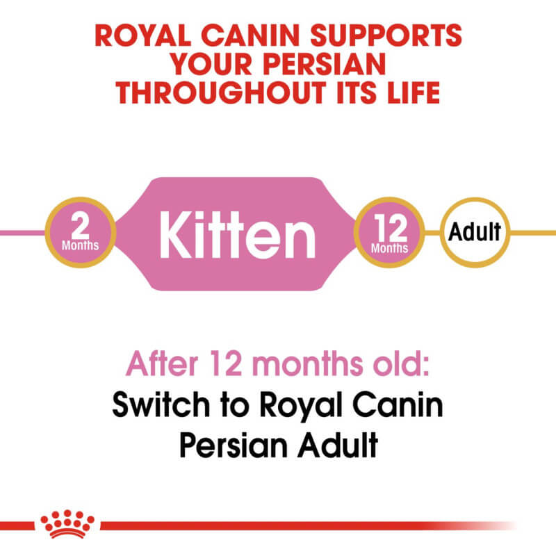 Royal Canin Kitten Persian feeds kittens up to 12 months; switch to adult food after.