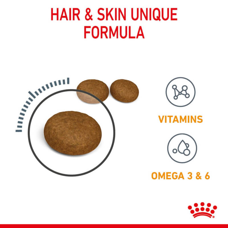Close-up of Royal Canin Hair & Skin Care cat food, showing icons for vitamins and omegas.